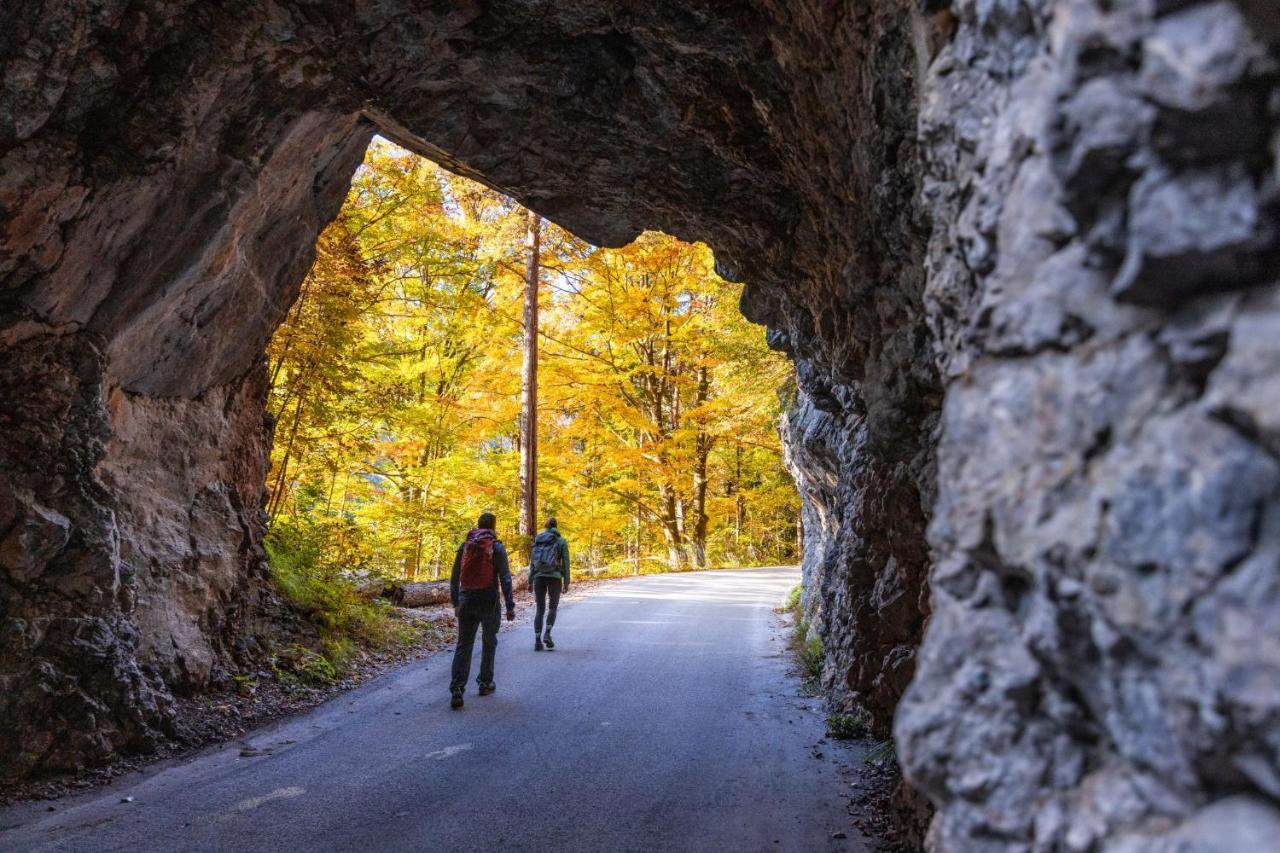 Sport & Sunny Cosy Alpine Retreat Διαμέρισμα Kranjska Gora Εξωτερικό φωτογραφία